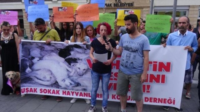 Hayvanseverlerden kaybolan k�pekler i�in eylem