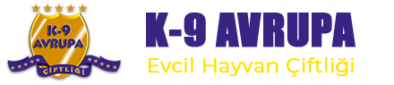 K9 Avrupa Pet Center - Evcil Hayvan ve Petshop Ürünleri - Kedi Köpek Eğitim Bakım Satış Merkezi